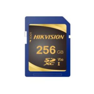 HS-SD-P10/256G