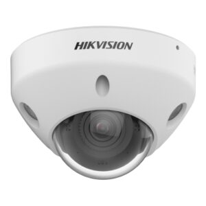 DS-2CD2543G2-LIZY (4.0mm)